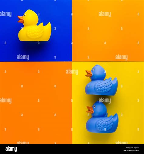 Yellow And Blue Rubber Ducks Stock Photo Alamy