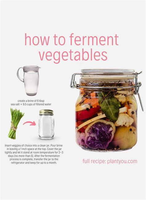 In This Article We Are Sharing How To Ferment Vegetables And The Benefits That Are Included