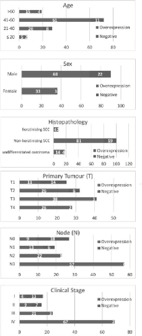 Frequency Of Age Sex Histopathology Primary Tumour T Nodes S Download Scientific