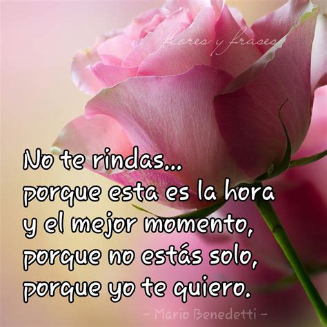 Frases De Amor De Mario Benedetti Frases De Flores Frases Bonitas