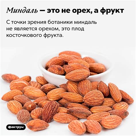 Миндаль — это не орех, а фрукт