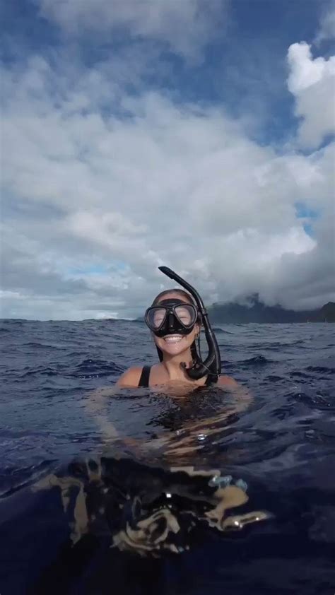 Padi On Twitter Warning The Ocean And Marine Life In It Will Cause