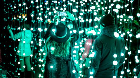 Trame Di Luce Mostra Immersiva Di Light Art All Orto Botanico