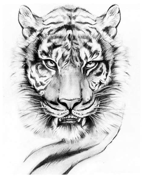 12+ Top Tiger Tattoo Drawings of 2020 #animal #tattoo #drawings # ...