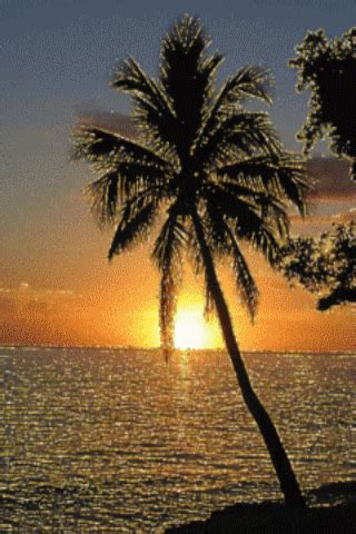 Sunset 11 GIF - Download & Share on PHONEKY