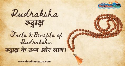 Rudraksha Facts And Benefits