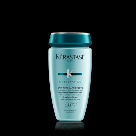 K Rastase R Sistance Bain Force Architecte Ml Flo Beauty