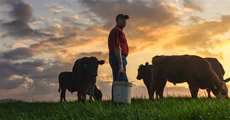 Federation Of State Beef Councils Beef Checkoff