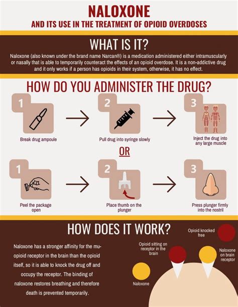 Infographics Toxicology Of Ultra Potent Opioids