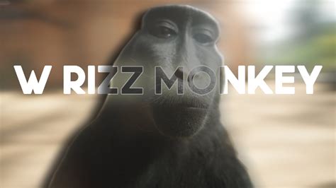 W Rizz Monkey │ 4k 2160p │edit Youtube