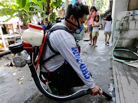 Das Dengue Fieber Breitet Sich Aus Panorama Badische Zeitung