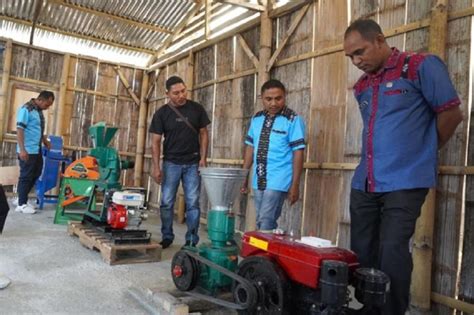 Inovasi Baru Warga Ntt Tak Lagi Bergantung Ke Pengepul Pakan Ternak