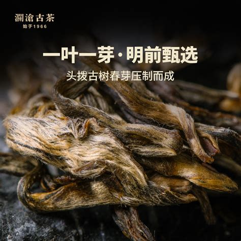 【品牌直营】澜沧古茶2020年001景迈古树茶普洱生茶云南茶饼400g虎窝淘