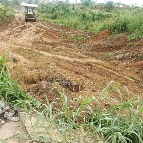 Terrains Terrain M Douala Pl Au Cameroun Coinafrique Cameroun