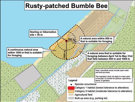 Rusty-patched Bumble Bee Habitat Protection Summary | ontario.ca