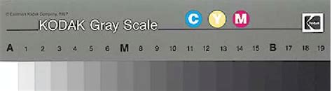 The Kodak Gray Scale used for filter and gamma estimation. | Download ...