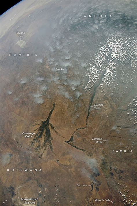 Northern Kalahari Desert Panorama