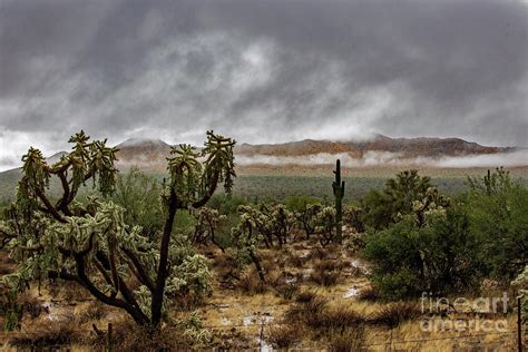 Desert Rain Photograph by John J Gunther | Pixels