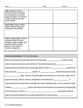 Free Macromolecules Vocabulary Practice Packet By Dr Dre The Bio Teacher