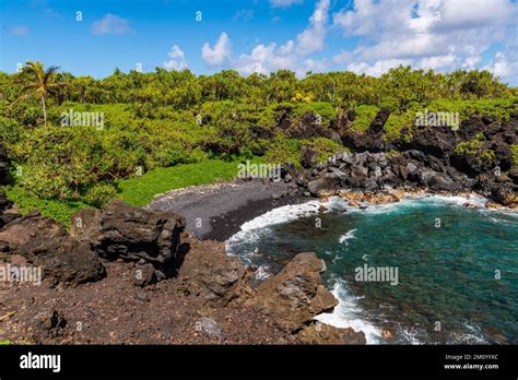 Black Sand Beach Lava Rock Formations And Palm Trees Above A Cove