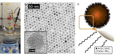 Colloidal Quantum Dots Synthesis A Typical Chemistry Setup For