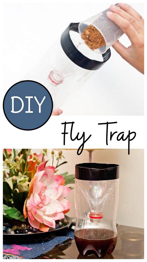 Make A Homemade Fly Trap For Indoor Use With Just A Few Simple Items