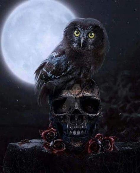 Pin By Jeanne Loves Horror💀🔪 On Owls Owl Art Dark Fantasy Art Owl