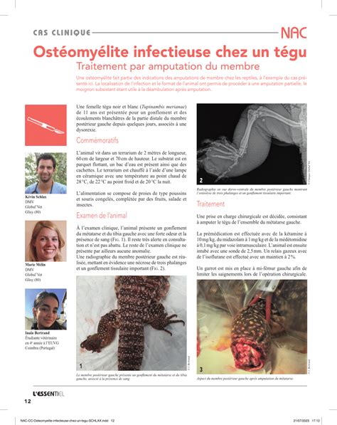 PDF Ostéomyélite infectieuse chez un tégu Tupinambis merianae