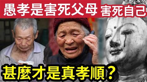 佛禪 不能錯！愚孝是「害死父母」害死自己！孝順是必須「但是父母的貪瞋痴」子女要順嗎？甚麼是真正的孝順？ Youtube