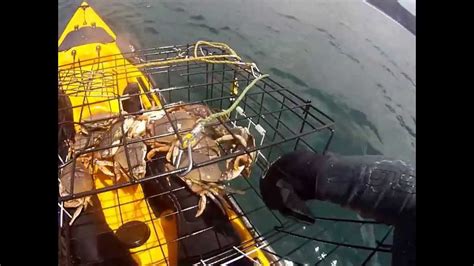 Crabbing In Half Moon Bay YouTube