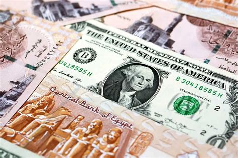 سعر الدولار مقابل الجنيه اليوم الاثنين 25 مارس 2024 المصري اليوم