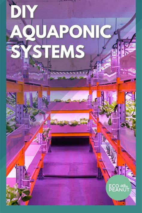 DIY Aquaponics: 5 Quick & Easy Systems - Eco Peanut