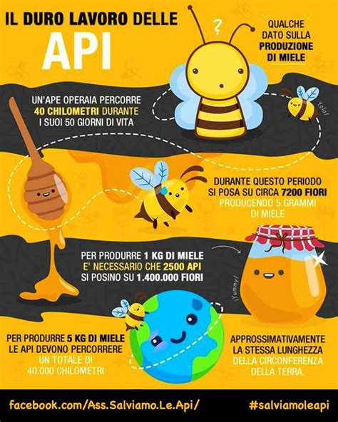 L Importanza Delle Api Bee Activities Bee Facts Bee Crafts