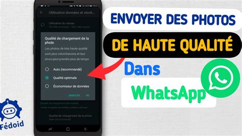 Comment Envoyer des Photos de Haute Qualité dans WhatsApp 2024 YouTube