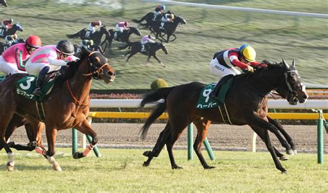 【クイーンc】川田将雅騎乗 ハーパーがゴール前の激戦を制する 競馬ニュースなら競馬のおはなし