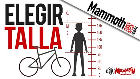 Cómo Elegir La Talla De Una Bici Youtube