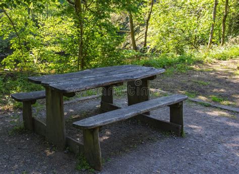 Wooden Picnic Bench In Forest Stock Photo Image Of Scene Season