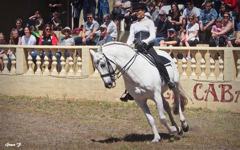 Perth Daily Photo : El Caballo Blanco 1..