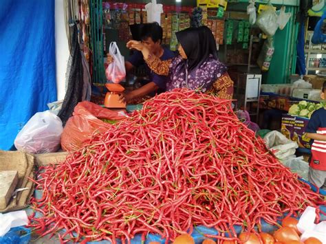 Harga Cabai Merah Di Abdya Rp36 Ribu Per Kilogram Analisa Aceh