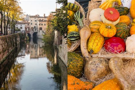 Cosa Vedere E Cosa Mangiare A Mantova Scoprilo Subito