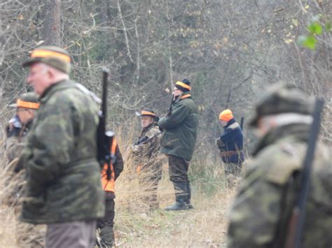 Polowanie Hubertowskie Foto Ko O Owieckie Ucznik Radom