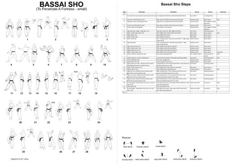 10 Bassai Sho Karate Kata Step By Step