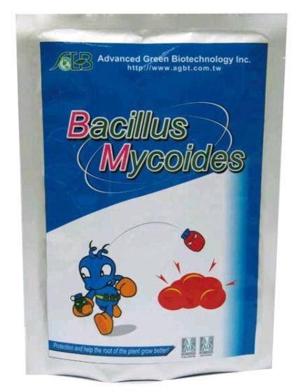 Bacillus Mycoides(id:2834972) Product details - View Bacillus Mycoides ...