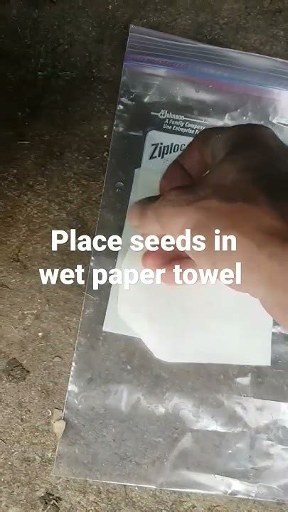 Germinate Seeds Fast With Grass Clippings Youtube