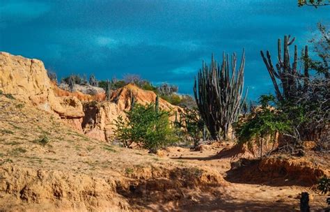 Aridoamérica qué es culturas y características CulturaHistórica