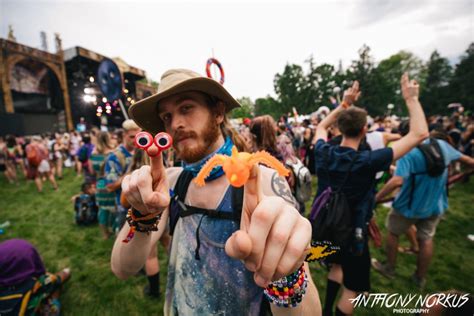 Pick Your Favorite Michigan Music Festival In Our Readers Poll Local
