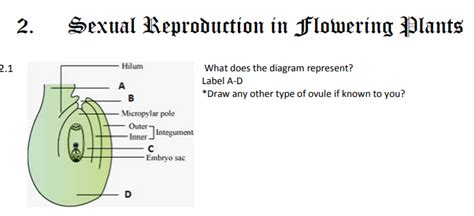 [DIAGRAM] Biology 12 Reproduction Notes Diagrams - MYDIAGRAM.ONLINE