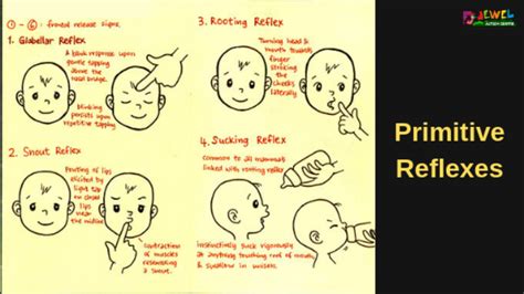 Suck Swallow Reflex Telegraph