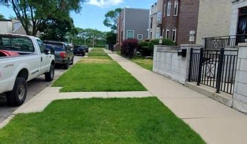 Chicago, IL Lawn Care Service | Lawn Mowing from $19 | Rated Best 2020