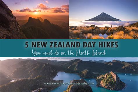 5 Best New Zealand Hikes In The North Island